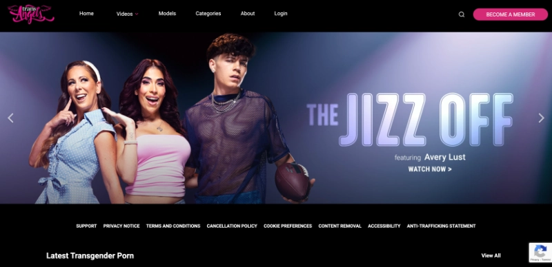 Screenshot Homepage TransAngels