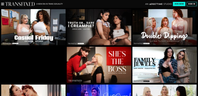 Screenshot Homepage TransFixed