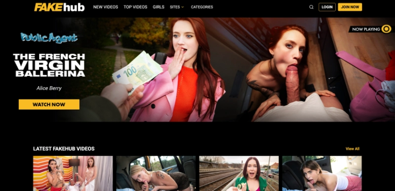 Screenshot Homepage FakeHub