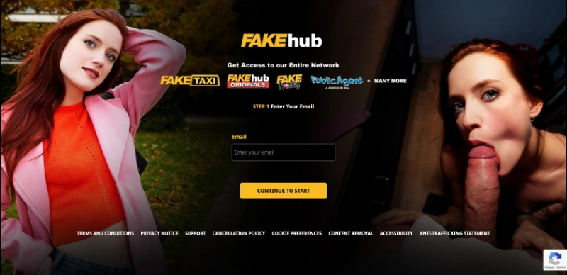 Screenshot Signup FakeHub