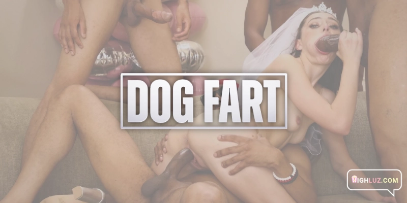 DogFart image