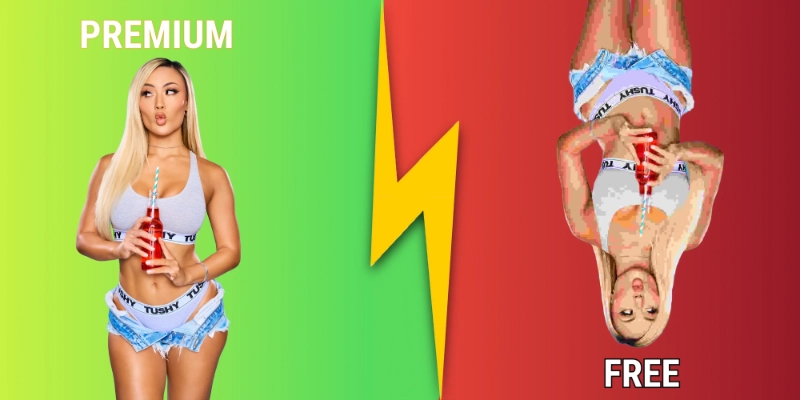 Premium Porn Sites vs Free Tubes in 2026